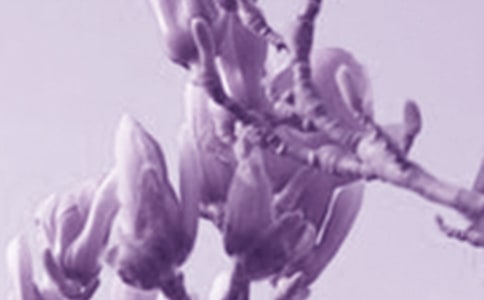 ���m������[���x15ƪ]