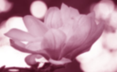 �����m������