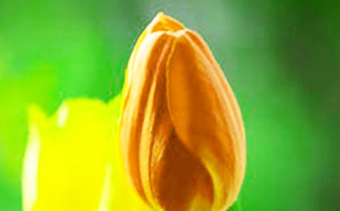 ���������ġ����\15ƪ��