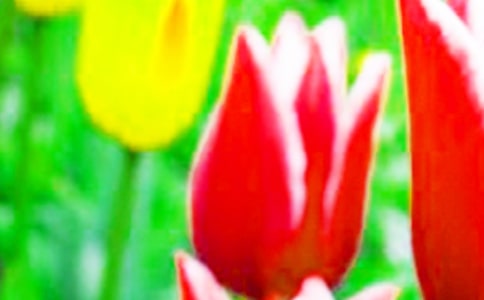 �Ҽҵ�����������350��