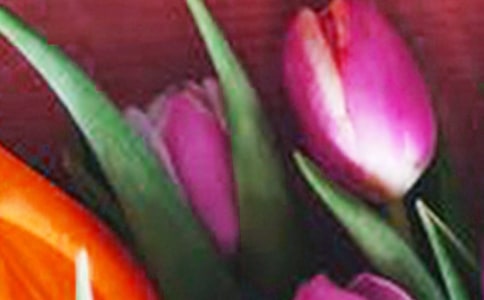 ����������������15ƪ