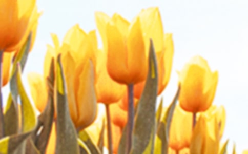 �����x���˽�����������3ƪ