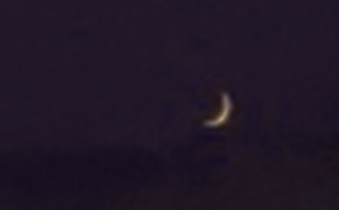 �茑������Ԋ�伯��15ƪ