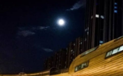 人月圓·山中書事的原文及賞析