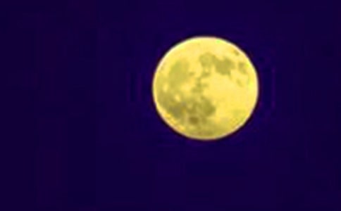 月圓之夜作文集錦(14篇)