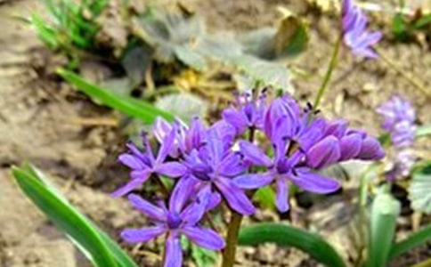 有關動人的早安心語短信39句