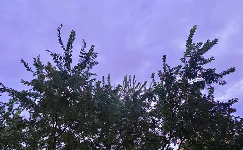 �����A��2024����˵��簲�����Z����ժ�60�l