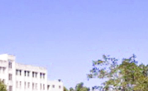 早安問候語短信合集31句