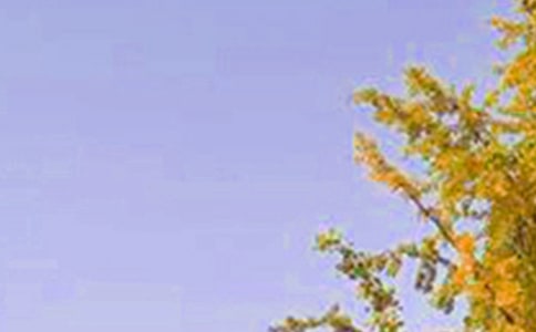 經(jīng)典朋友圈早安短信(精選80句)