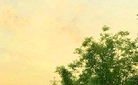 ���õĜ�ܰ���簲���Z����38�l