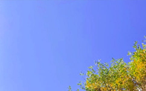 ����ϵ�簲�����Z����48�l