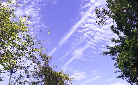 簡單的適合給朋友的早安問候語短信匯編32條