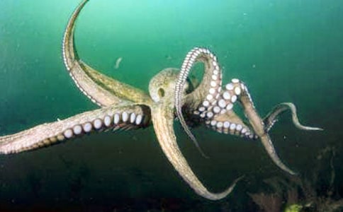 Ů�˳����~�ĺ�̎