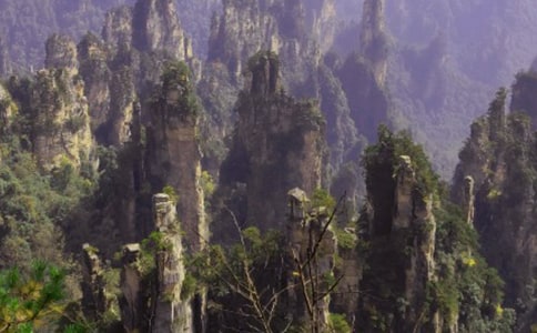 ���ҽ����ļ���(15ƪ)