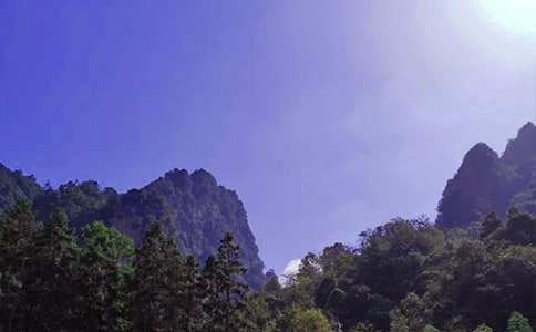 ���ҽ�֮�����ģ����\15ƪ��