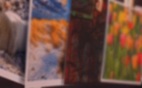 ���F����Ƭ����[�R��15ƪ]