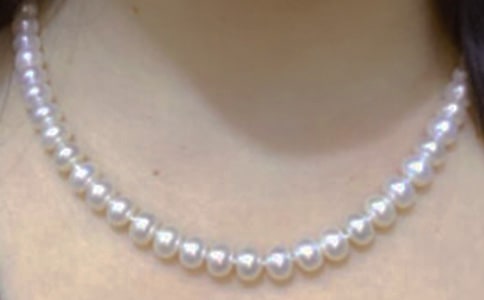 ���᡿ʰ�����е���������15ƪ