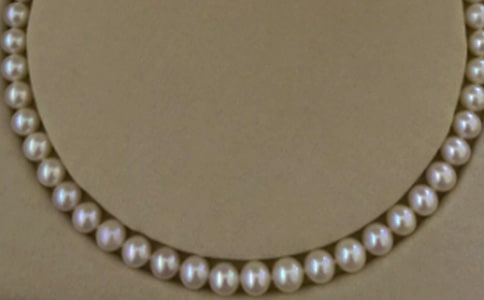 ���鹫������