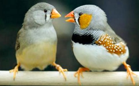 �������B���̌W(xu��)���