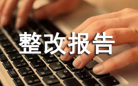 項目精細化管理檢查整改報告范文