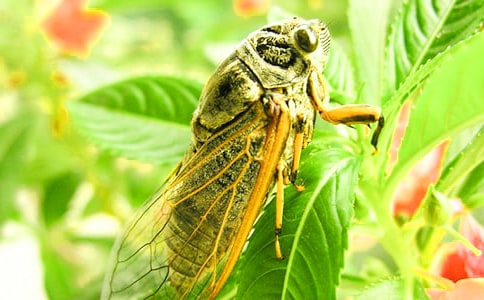 ׽֪������[�؂�]