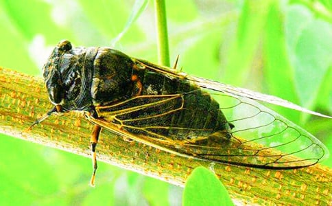 ׽֪������(����20ƪ)