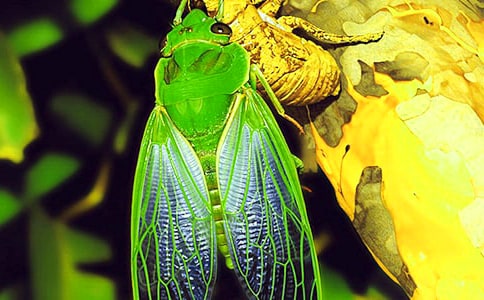 ׽֪�����ģ����A15ƪ��