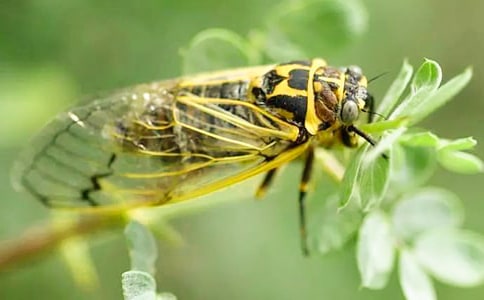 �����ϡ�׽֪�˺�����