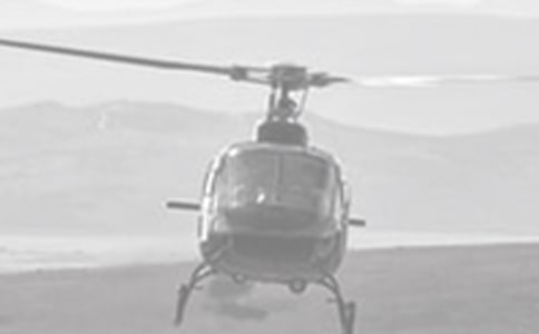 ֱ���w�C�ھ�Ԯ�е�����