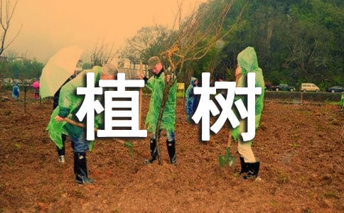 植樹看圖寫話精華15篇