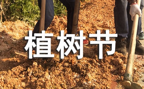 �H��ֲ��(sh��)��(ji��)���(d��ng)�߄���(sh��)