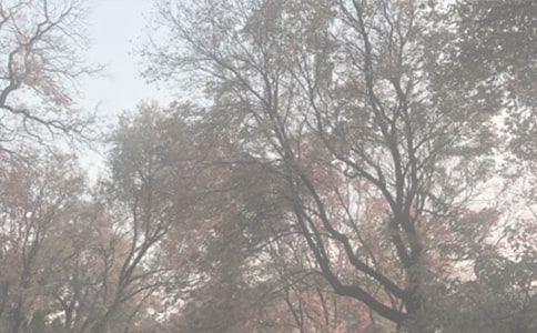 植物園觀后感14篇