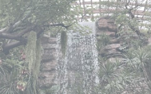 ֲ��@��ӛ���ļ���6ƪ