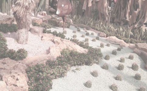 ������ֲ��@