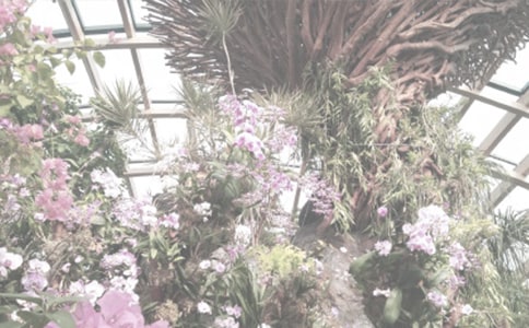 ֲ��@С�W����ӛ