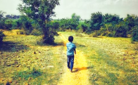 ��ͨ�á��ҵ�ֶ������15ƪ