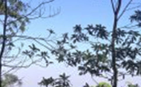 一覺醒來中午了的說說句子