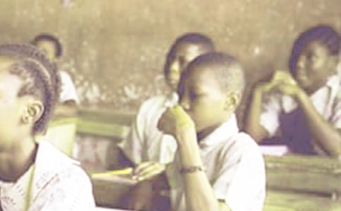 (����)���ЌW�����˽�B