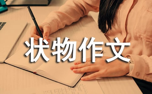 �����������ķ���