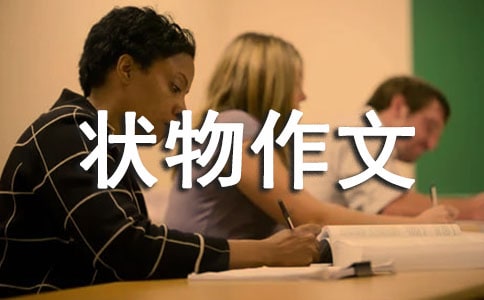 【實用】狀物作文300字集合9篇