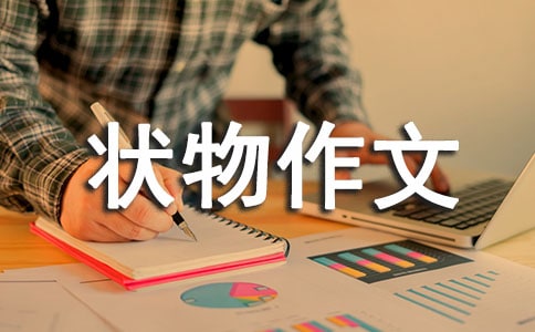 初中狀物作文:斗魚