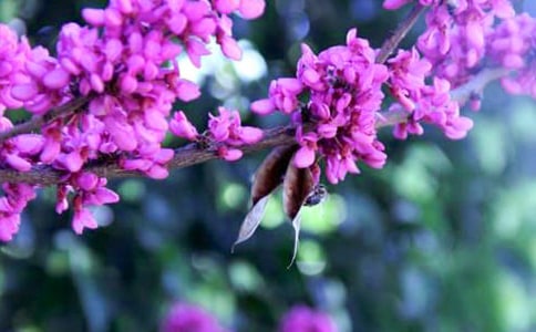 ���G���_����