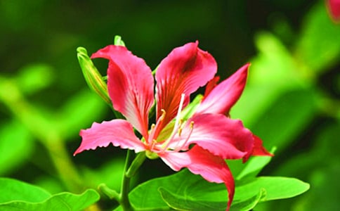 ���᡿���G��������