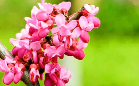 �����A�����G������500��4ƪ