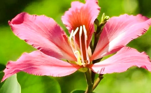 ���G�������ģ���ȫ3ƪ��