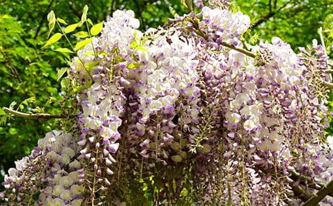 ���ٻ����ġ����ϡ�