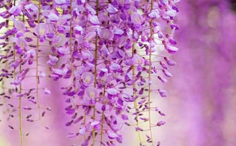 ���ٻ�������