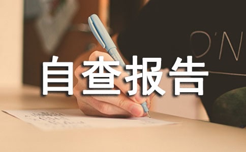 企業安全生產自查報告范文