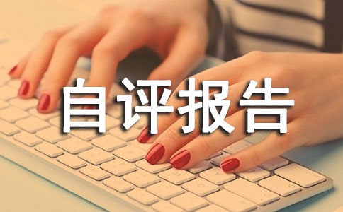 項目經理自評報告(精選9篇)