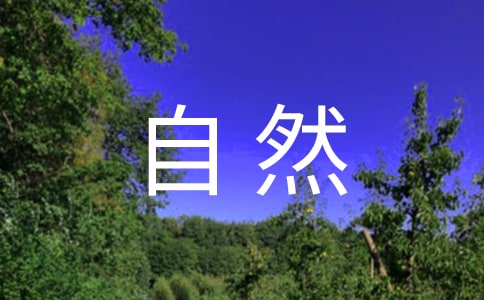 《大自然的文字》閱讀